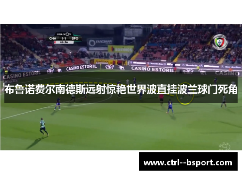 布鲁诺费尔南德斯远射惊艳世界波直挂波兰球门死角